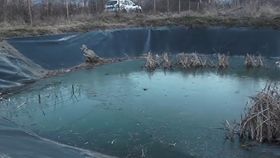 VIDEO Tragedie în Sighișoara! Două surori, de 2 și 4 ani, au murit după ce au căzut într-o baltă
